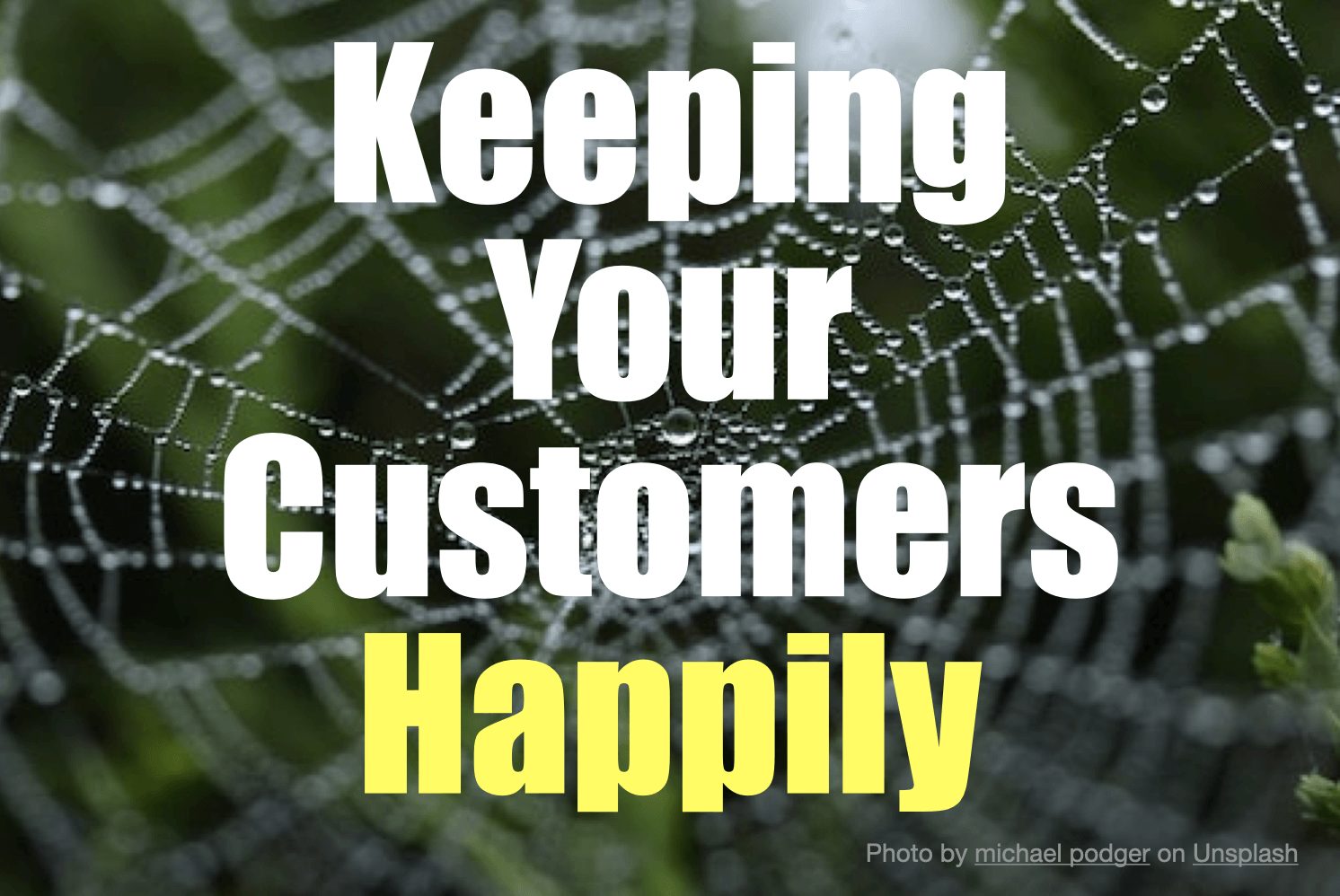“I Don’t Want You To Leave!” Yes, But Better to Keep Customers Happily
